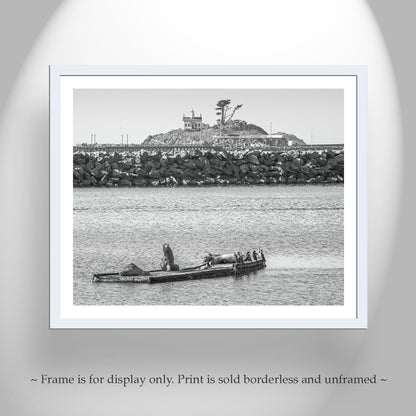 Harbor Seals Art at Battery Point Lighthouse Crescent City California