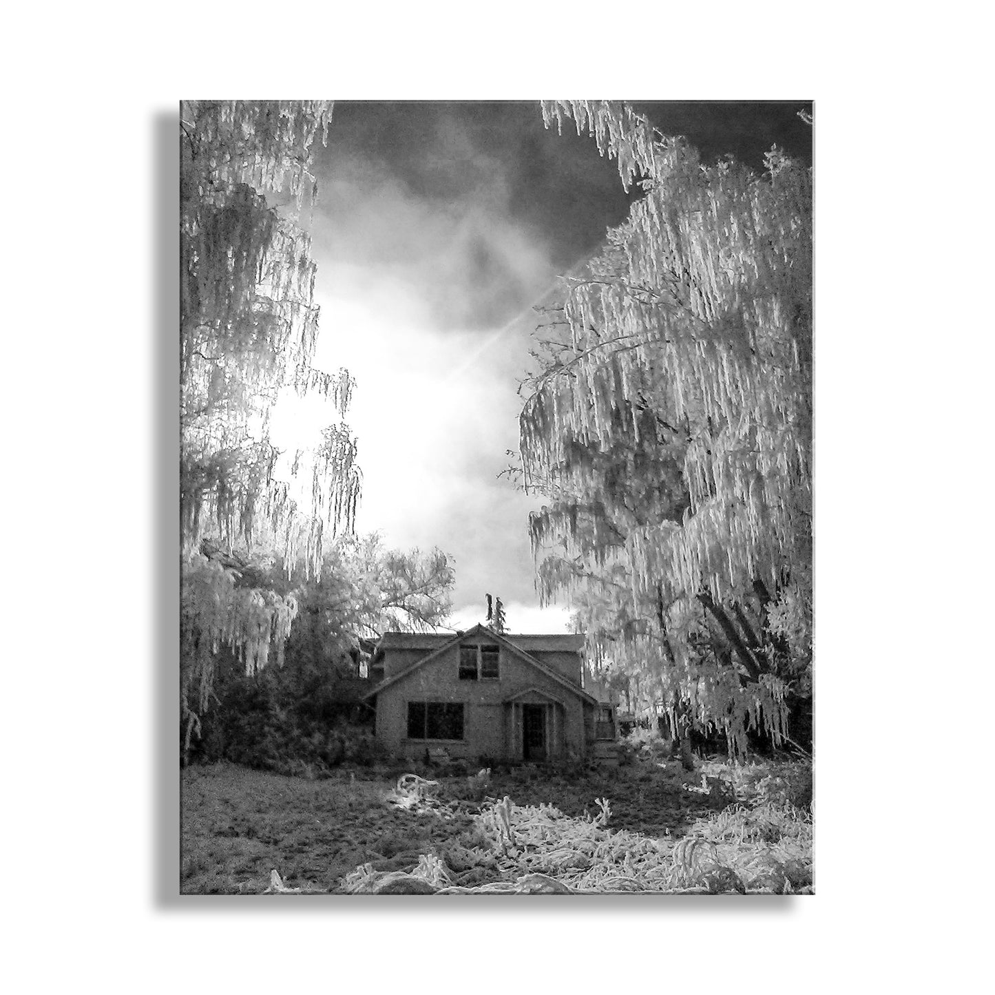 Vintage-style black and white photo of a cabin in the woods with large trees and foggy atmosphere. Surreal Art Print with Haunted House in Winter Rime Ice