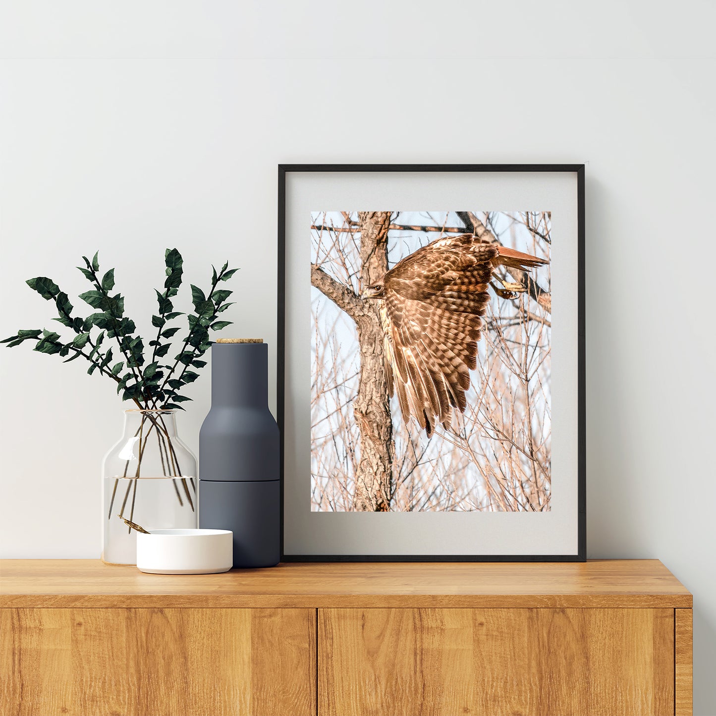 Red Tail Hawk Wall Art as Wildlife Art Print Wall Decor