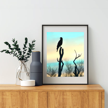 Arizona Bird of Prey Hawk Silhouette Art Print