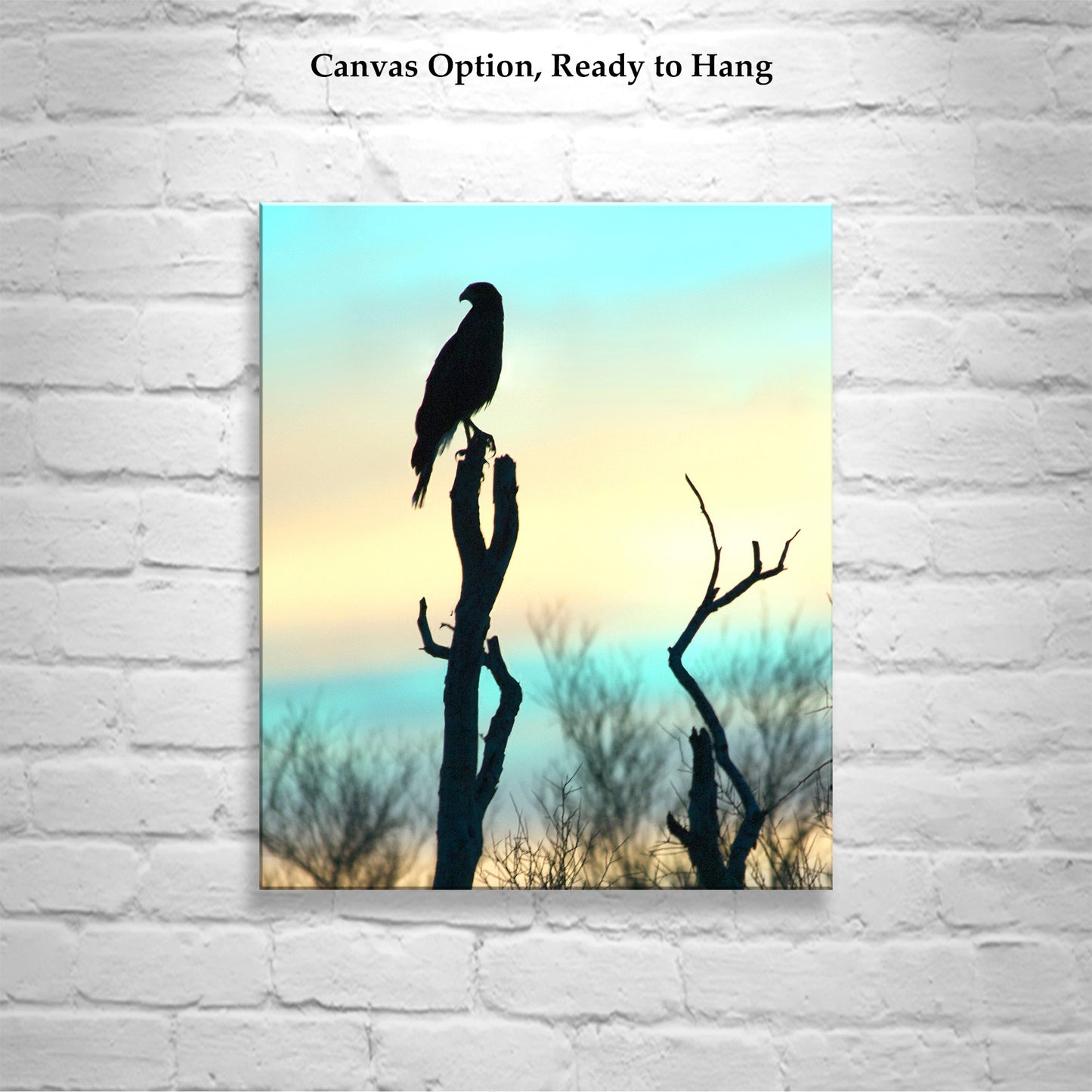 Arizona Bird of Prey Hawk Silhouette Art Print