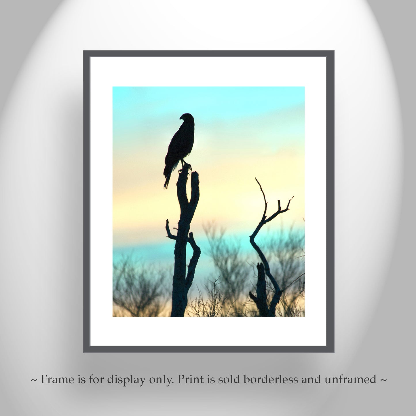 Arizona Bird of Prey Hawk Silhouette Art Print