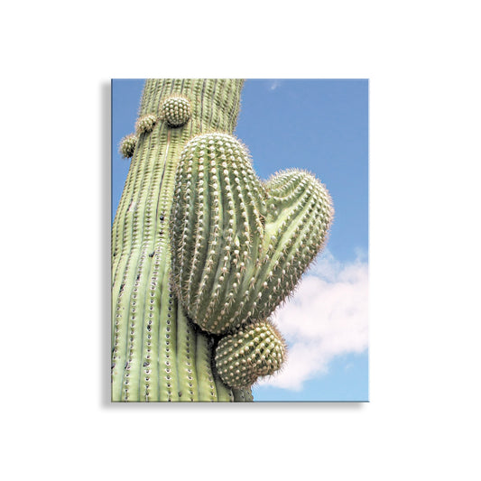 Cactus Wall Decor with Heart in Nature as Southwestern Art Print