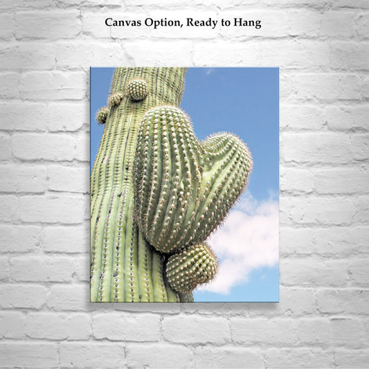 Cactus Wall Decor with Heart in Nature as Southwestern Art Print
