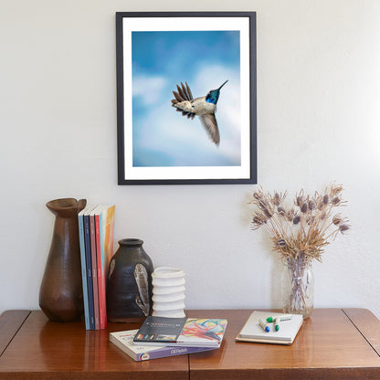 Hummingbird in Flight Photograph as Avian Bird Decor Gift