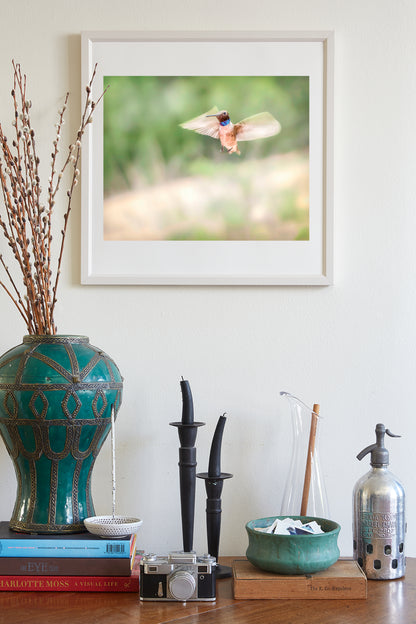 Hummingbird in Flight Art as Spring Green Nature Decor | Tucson Birds