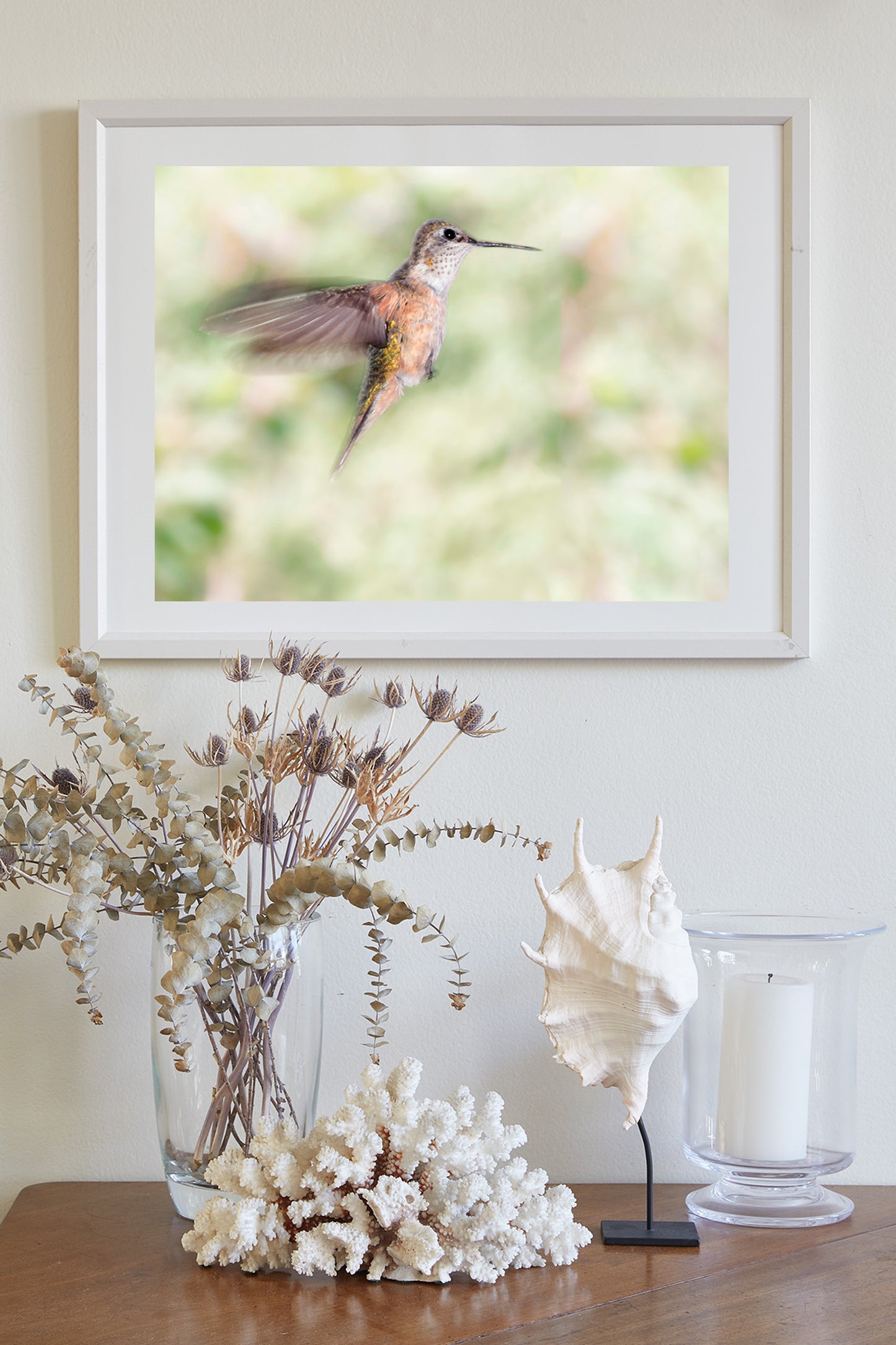 Flying Hummingbird Picture as Bird Wall Decor