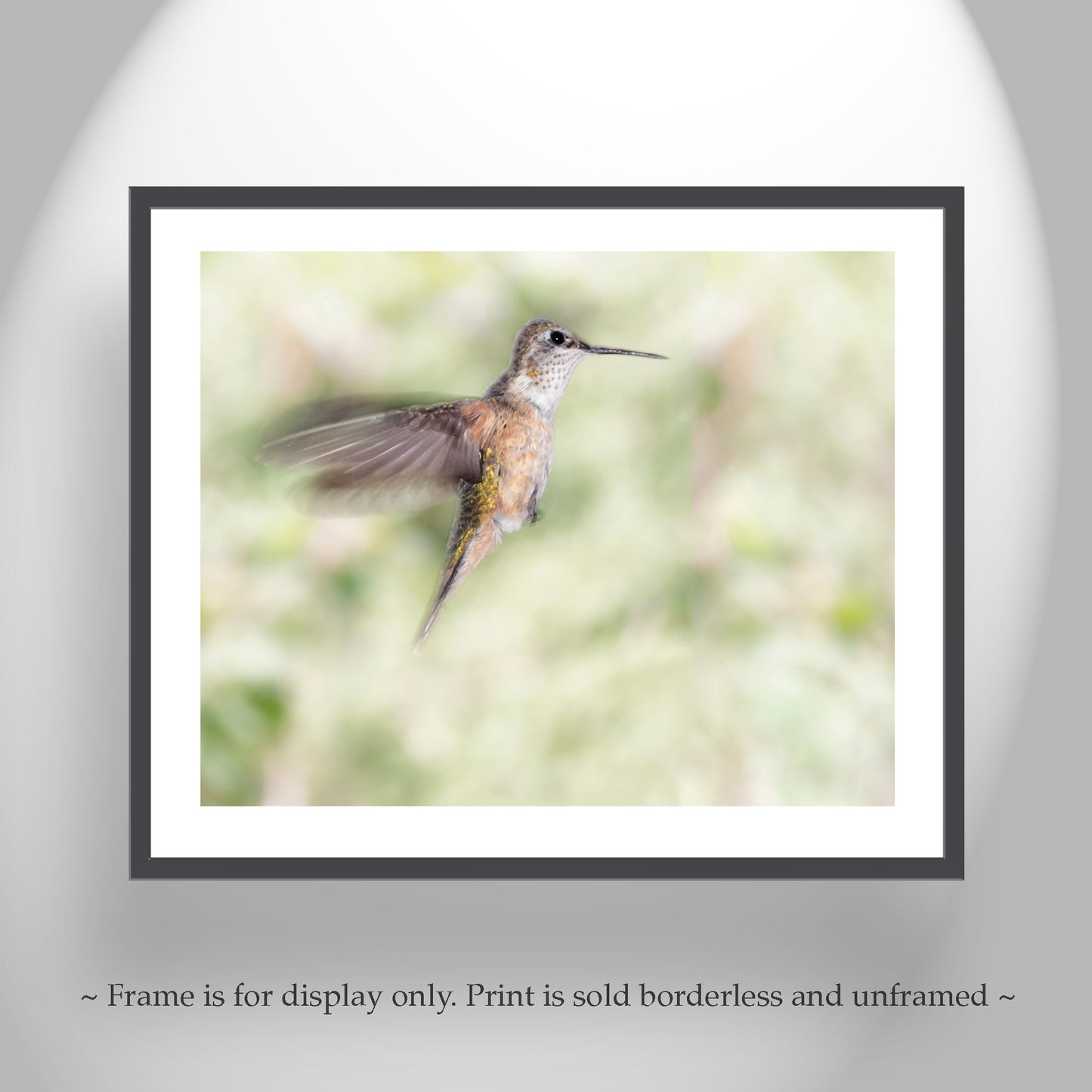 Flying Hummingbird Picture as Bird Wall Decor