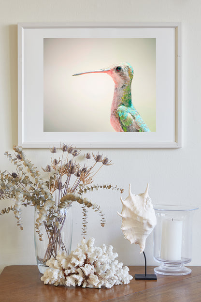 Hummingbird Art Photograph as Minimalist Nature Decor