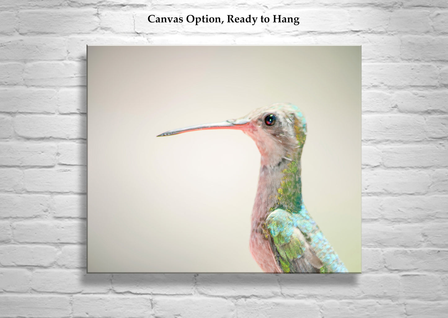 Hummingbird Art Photograph as Minimalist Nature Decor