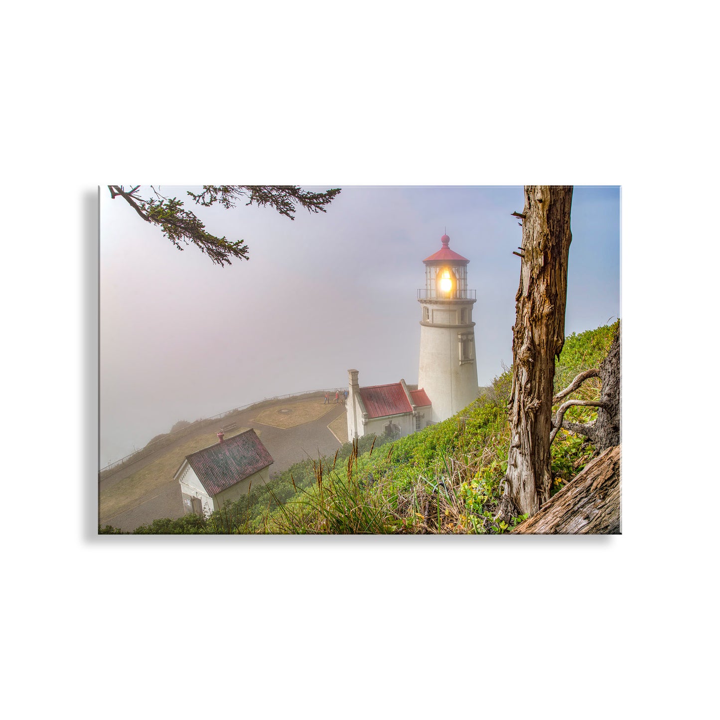 Heceta Head Oregon Lighthouse Photograph in Fog on West Coast
