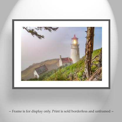 Heceta Head Oregon Lighthouse Photograph in Fog on West Coast