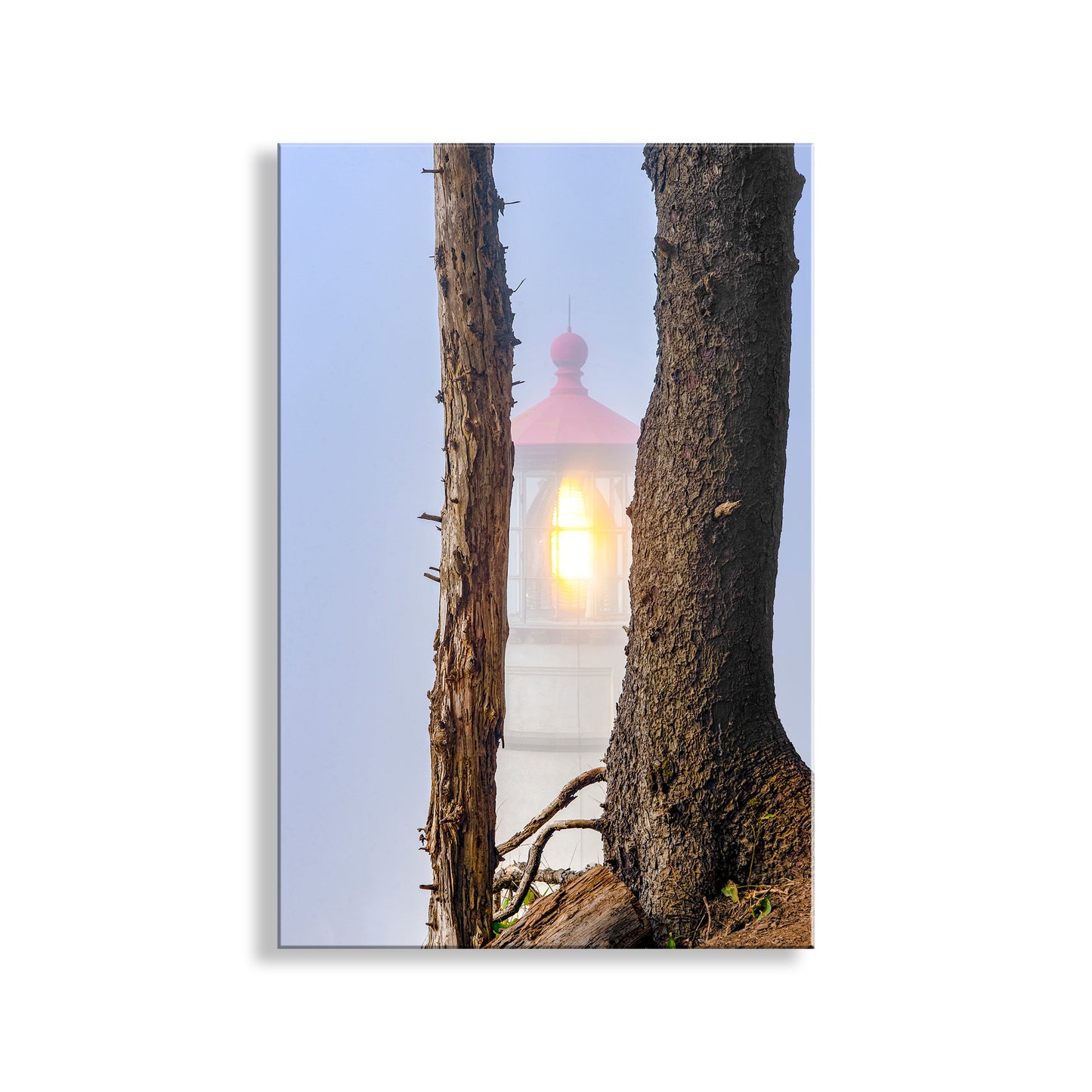 Heceta Head Lighthouse Photography Art Print at Oregon Pacific Coast