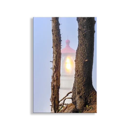 Heceta Head Lighthouse Photography Art Print at Oregon Pacific Coast