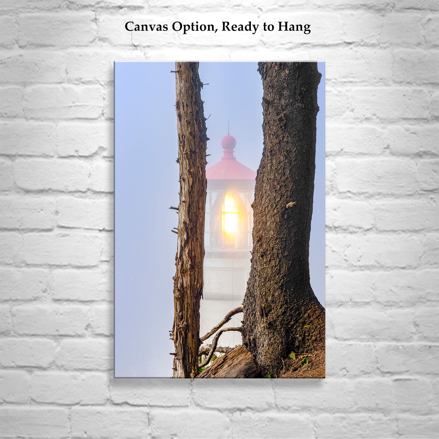 Heceta Head Lighthouse Photography Art Print at Oregon Pacific Coast