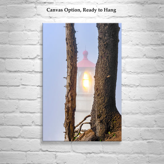 Heceta Head Lighthouse Photography Art Print at Oregon Pacific Coast