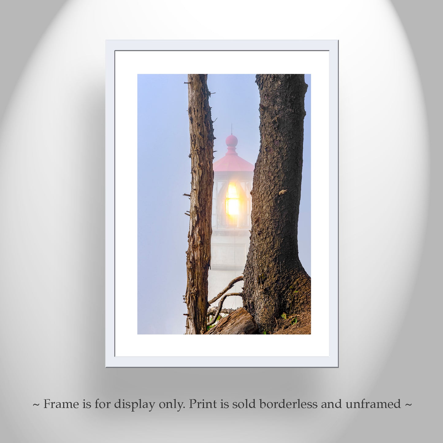 Heceta Head Lighthouse Photography Art Print at Oregon Pacific Coast