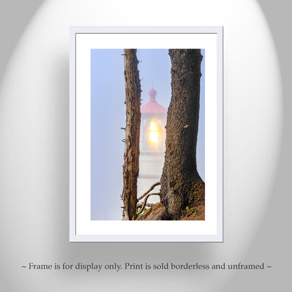 Heceta Head Lighthouse Photography Art Print at Oregon Pacific Coast