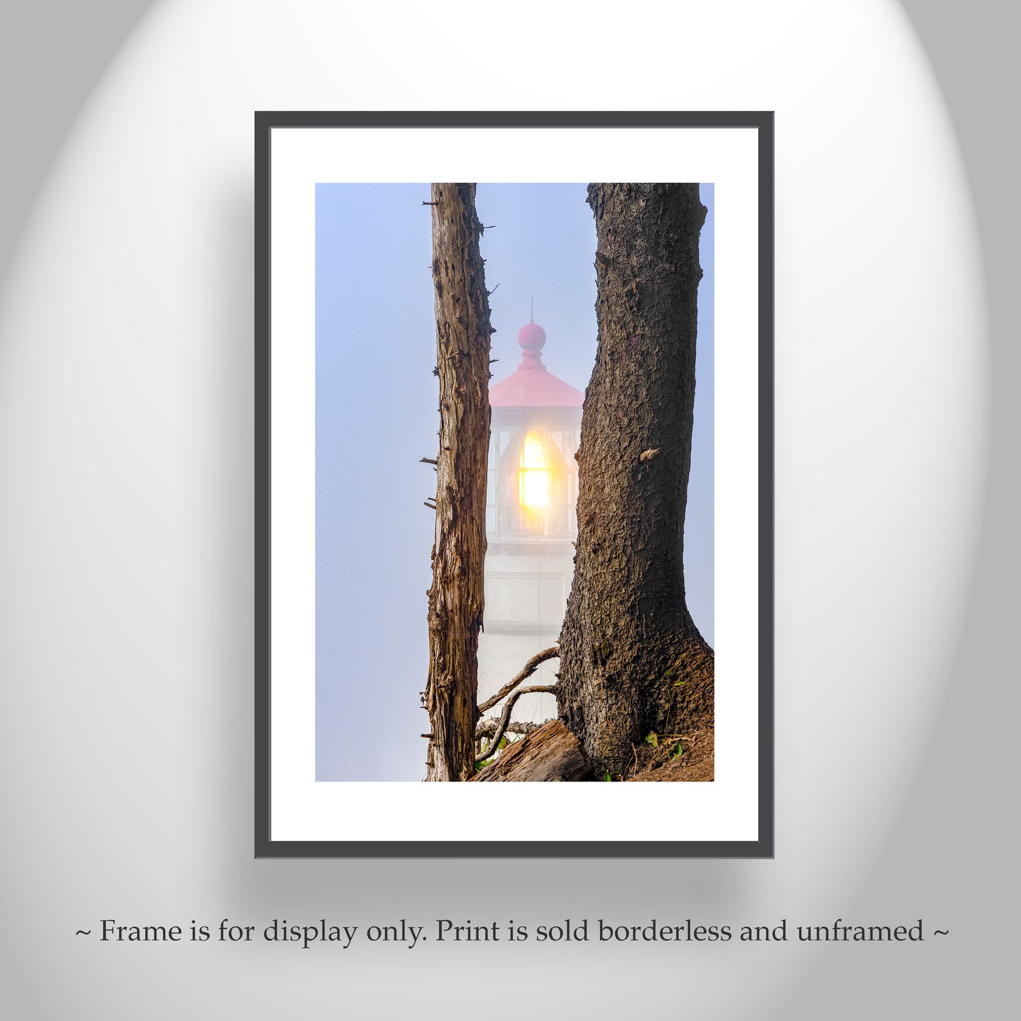 Heceta Head Lighthouse Photography Art Print at Oregon Pacific Coast