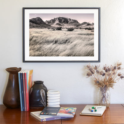 Southern Arizona High Desert Grasslands Landscape Artwork for Sale