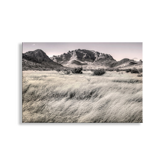 Southern Arizona High Desert Grasslands Landscape Artwork for Sale
