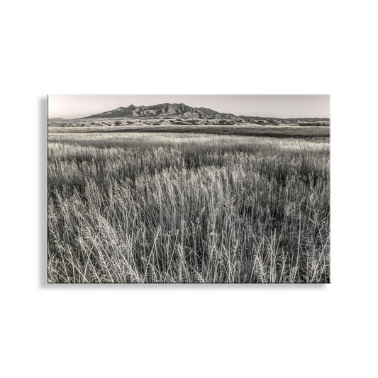 Huachuca Mountains Sierra Vista Arizona Grasslands Landscape Art