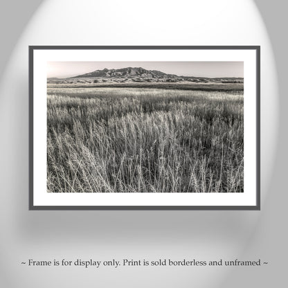 Huachuca Mountains Sierra Vista Arizona Grasslands Landscape Art