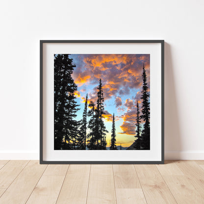 Pacific Northwest Forest Art in Washington State Cascades Mountains