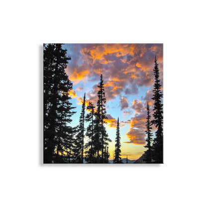 Canvas print of a sunset with silhouetted trees.  My North Cascades National Park photo art print with lodgepole pines sunset silhouette! To embellish your walls, I offer this splendid square artwork, a scene I captured while camping in the great Pacific Northwest near Washington Pass Original, unique signed art by Murray Bolesta.