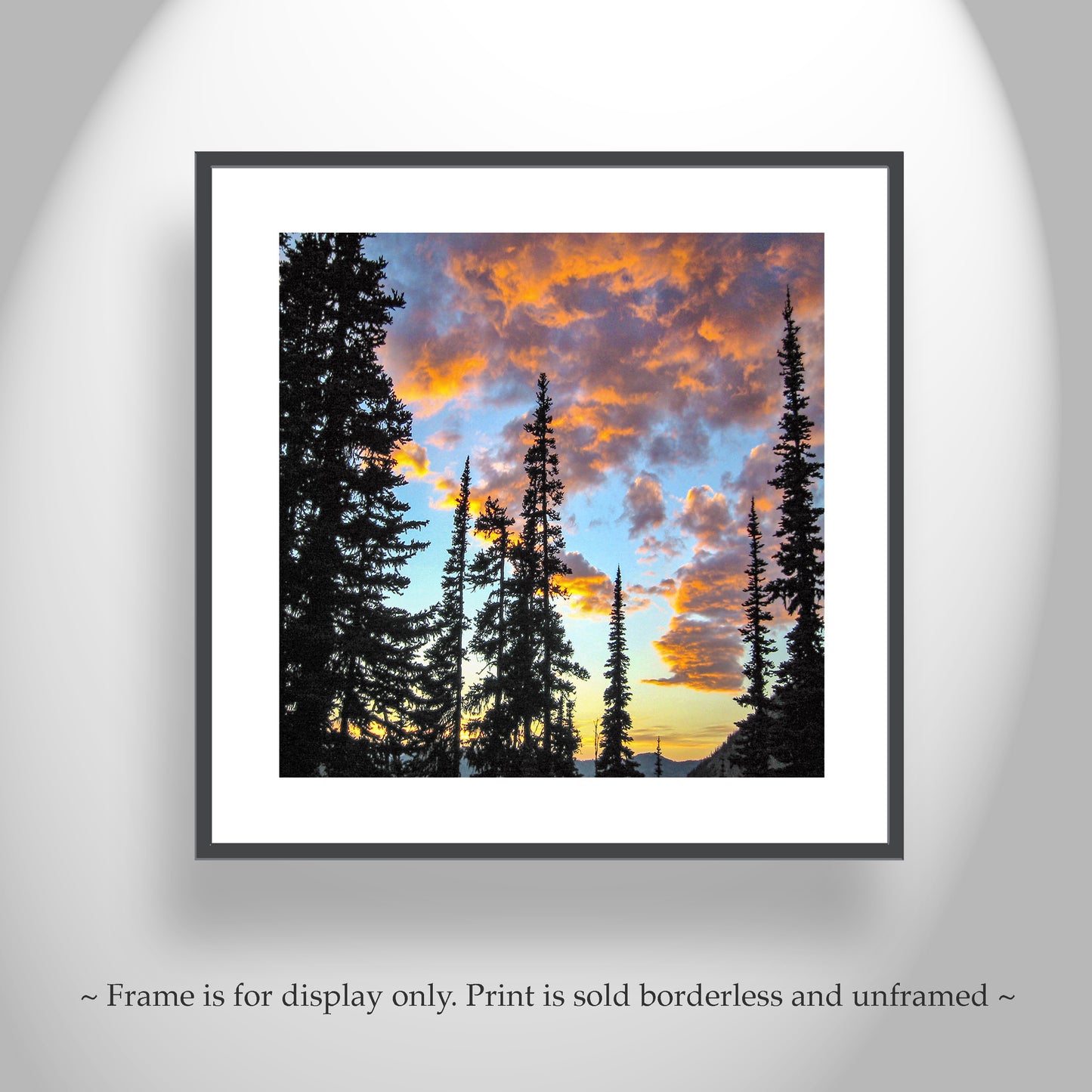 Pacific Northwest Forest Art in Washington State Cascades Mountains