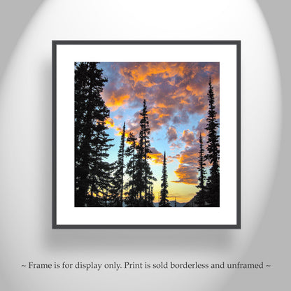 Pacific Northwest Forest Art in Washington State Cascades Mountains
