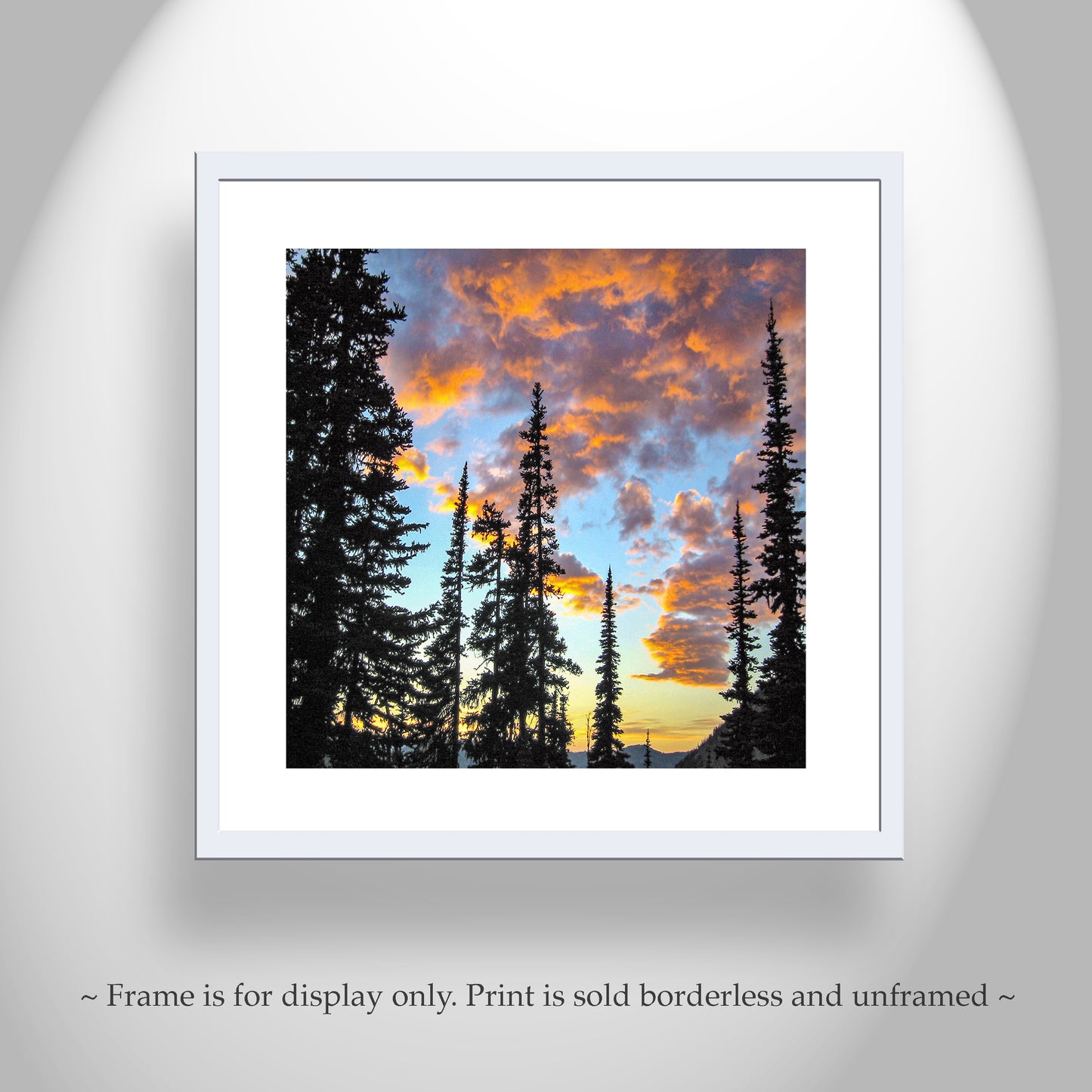 Pacific Northwest Forest Art in Washington State Cascades Mountains