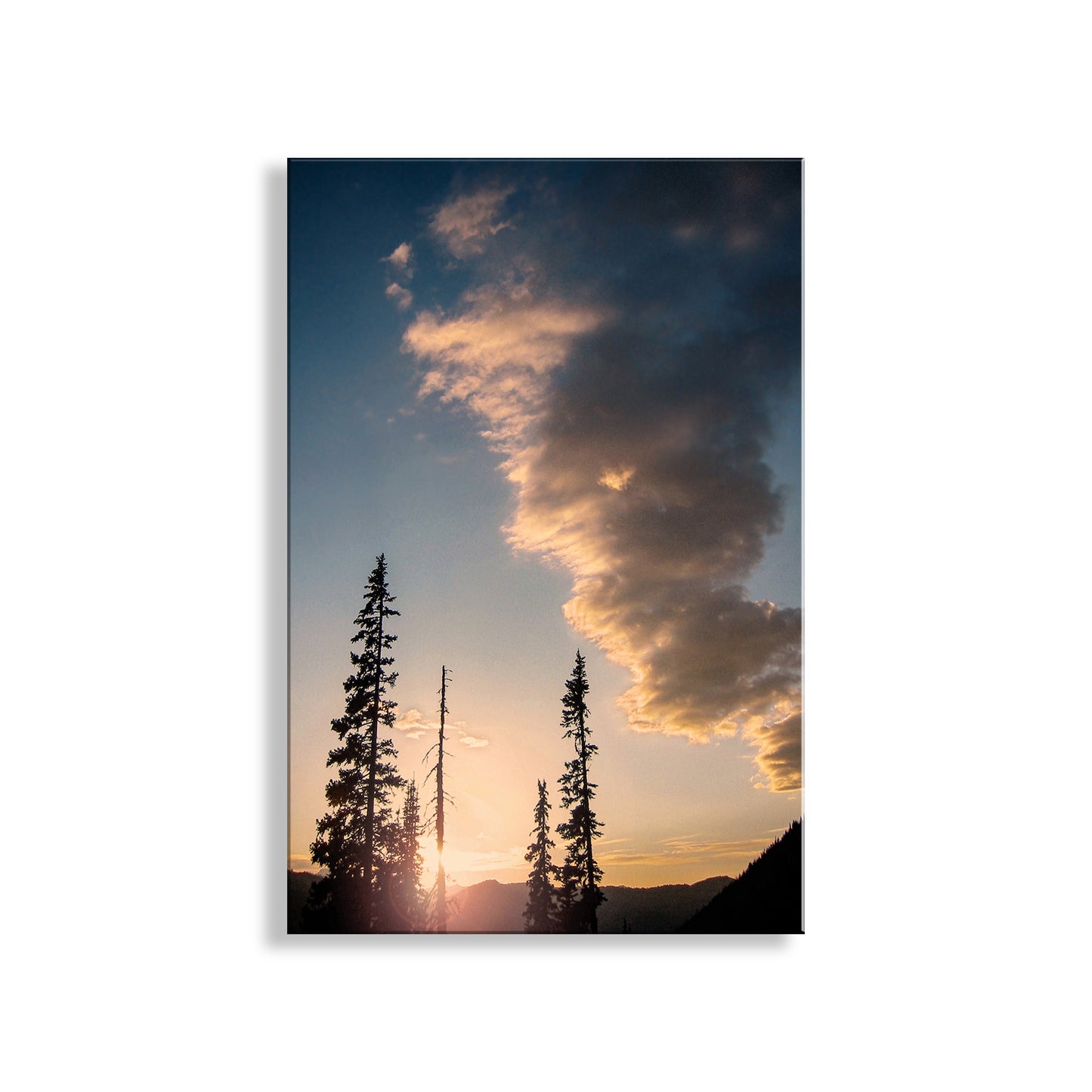 Sunset with trees and clouds on a white background. My North Cascades mountains photo art print with lodgepole pines sunset silhouette! To embellish your walls, I offer this splendid artwork, a scene I captured while camping in the great Pacific Northwest near Washington Pass. Original, unique signed art by Murray Bolesta.