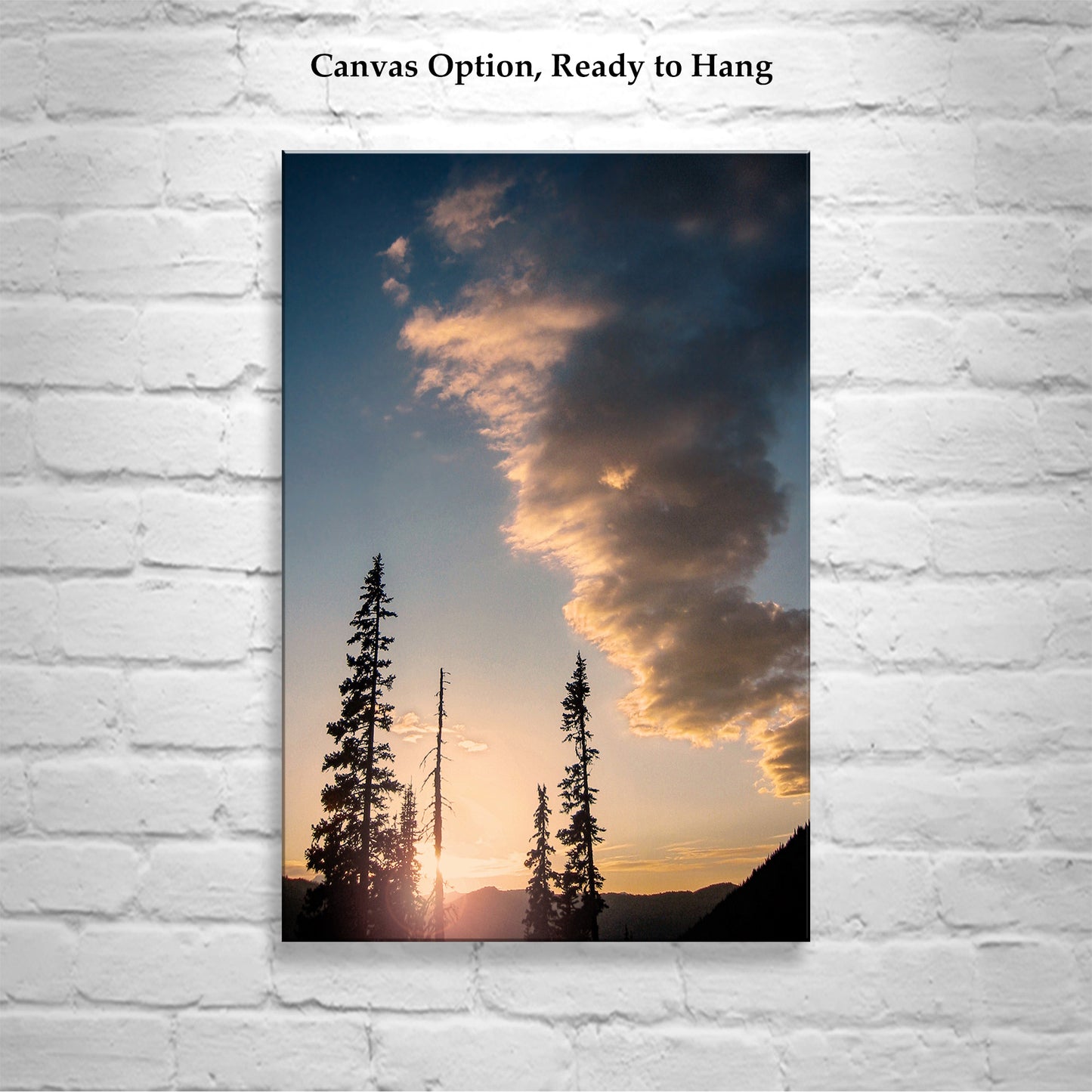 Pacific Northwest Forest Art Print in Cascades Mountains | Lodgepole Pine Sunset Silhouette