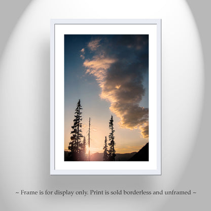 Pacific Northwest Forest Art Print in Cascades Mountains | Lodgepole Pine Sunset Silhouette