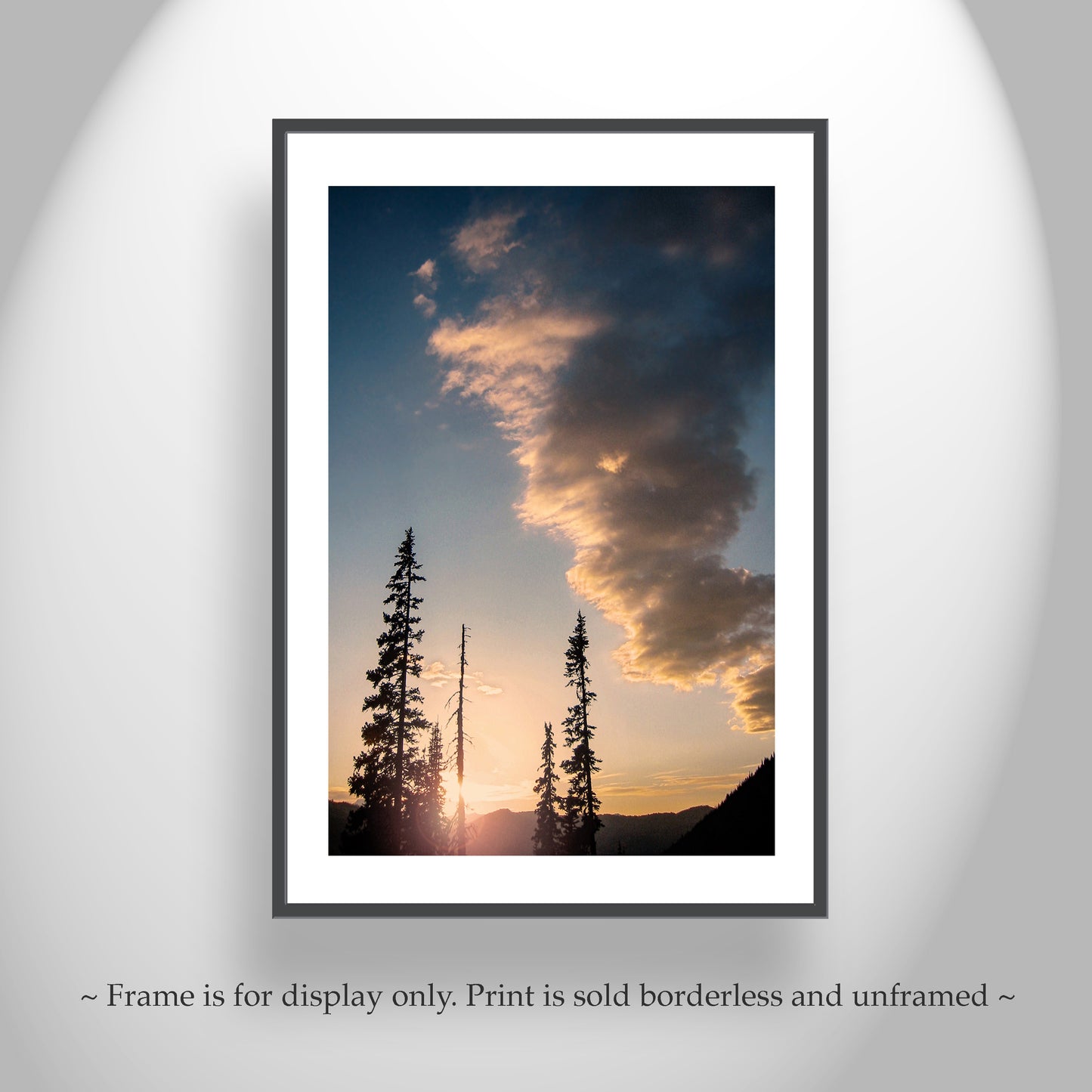 Pacific Northwest Forest Art Print in Cascades Mountains | Lodgepole Pine Sunset Silhouette