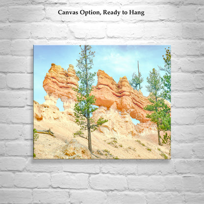 Bryce Canyon Utah Desert Hoodoo Landscape Wall Art