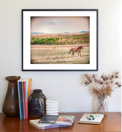 Horse Ranch Art Photograph with Elgin Arizona Vineyard as Cowgirl Gift