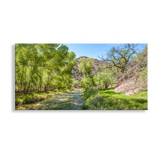 Southern Arizona Desert Spring Water Riparian Landscape Art in Panorama