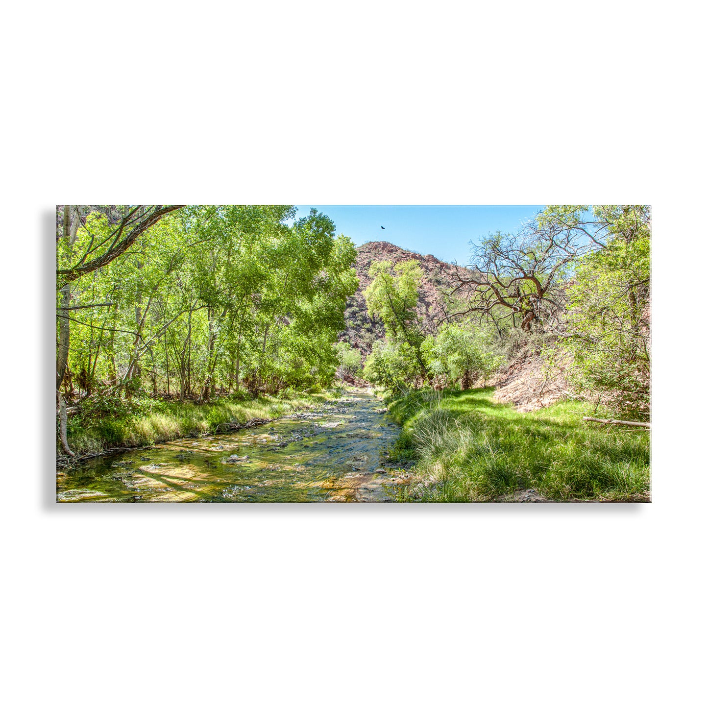 Arizona Desert Riparian River Water Landscape Photograph in Panorama