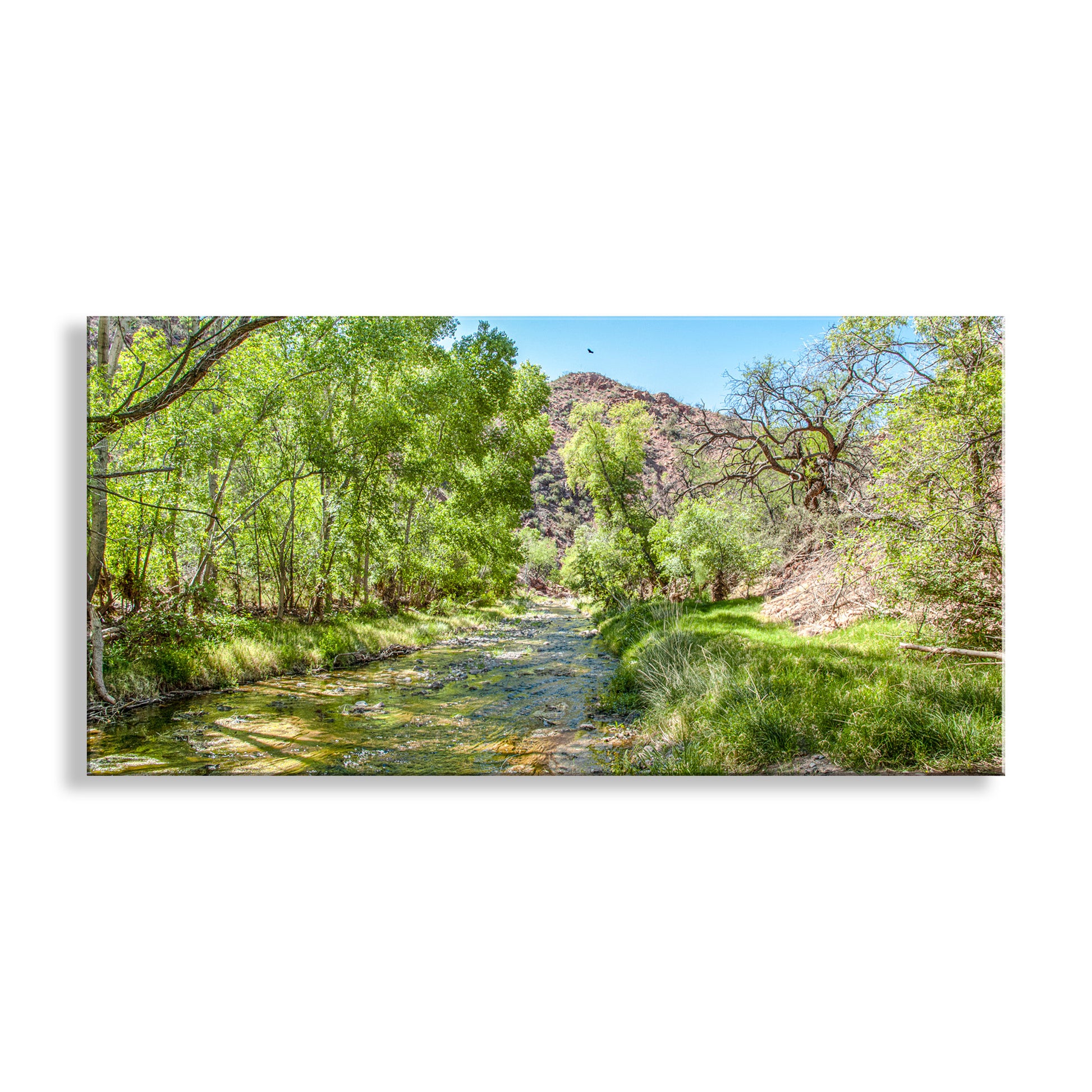 Arizona Desert Riparian River Water Landscape Photograph in Panorama