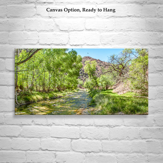 Arizona Desert Riparian River Water Landscape Photograph in Panorama