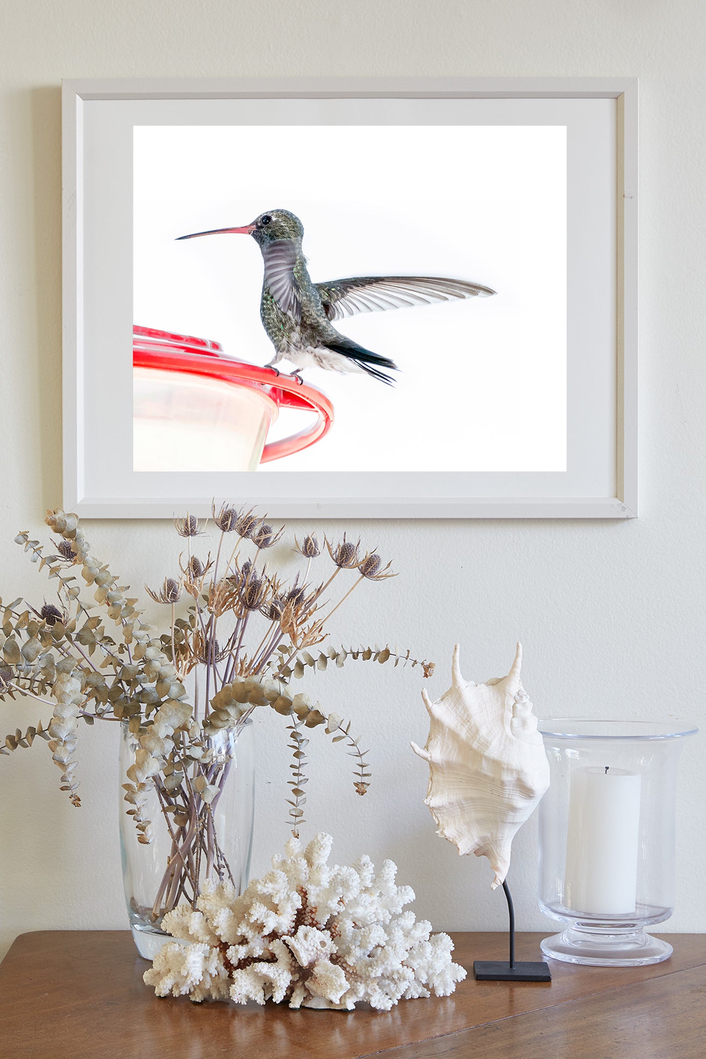Minimalist Bird Decor with Hummingbird Picture Gift for Bird Watcher