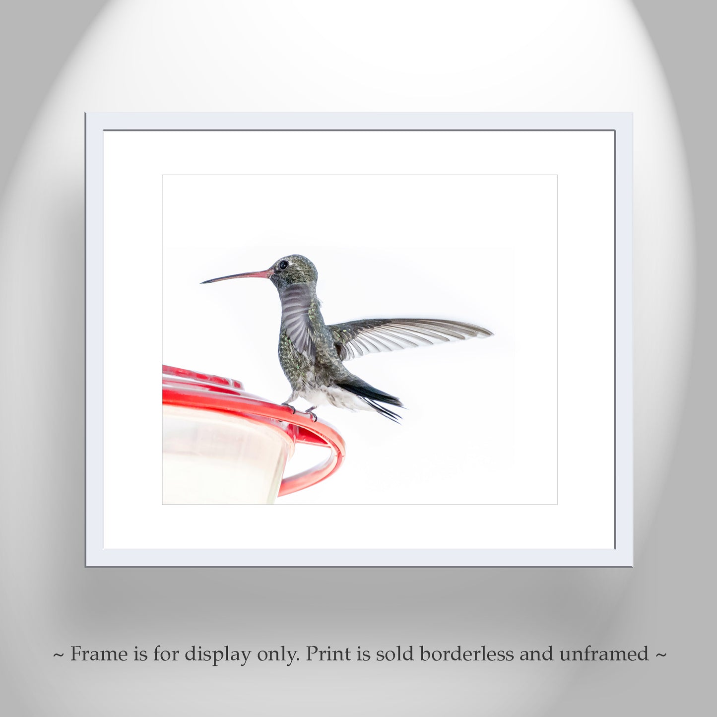 Minimalist Bird Decor with Hummingbird Picture Gift for Bird Watcher