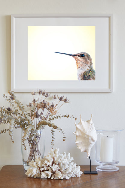 Hummingbird Photography | Bright Vibrant Bird Art Print