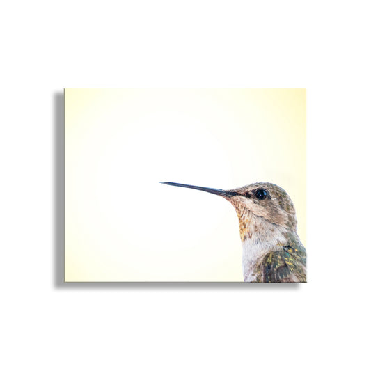 Hummingbird Photography | Bright Vibrant Bird Art Print