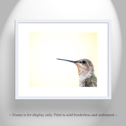Hummingbird Photography | Bright Vibrant Bird Art Print