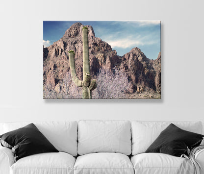Tucson Arizona Desert Mountain Landscape Art Print with Ironwood Flowers