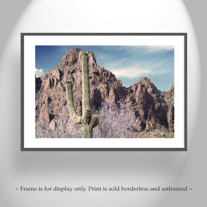Tucson Arizona Desert Mountain Landscape Art Print with Ironwood Flowers