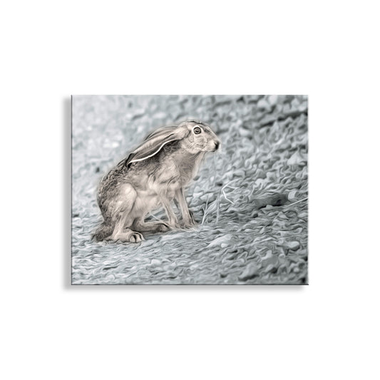 Hare on a textured gray background. Beautiful bunny! My jackrabbit photo art print for your walls - I captured this cute critter on camera in Muleshoe Ranch, Arizona USA. (When jackrabbits lower their ears, they either don't need their ears to stay cool at that moment, or they're trying not to be seen. Or both!) Original, unique signed art by Murray Bolesta.